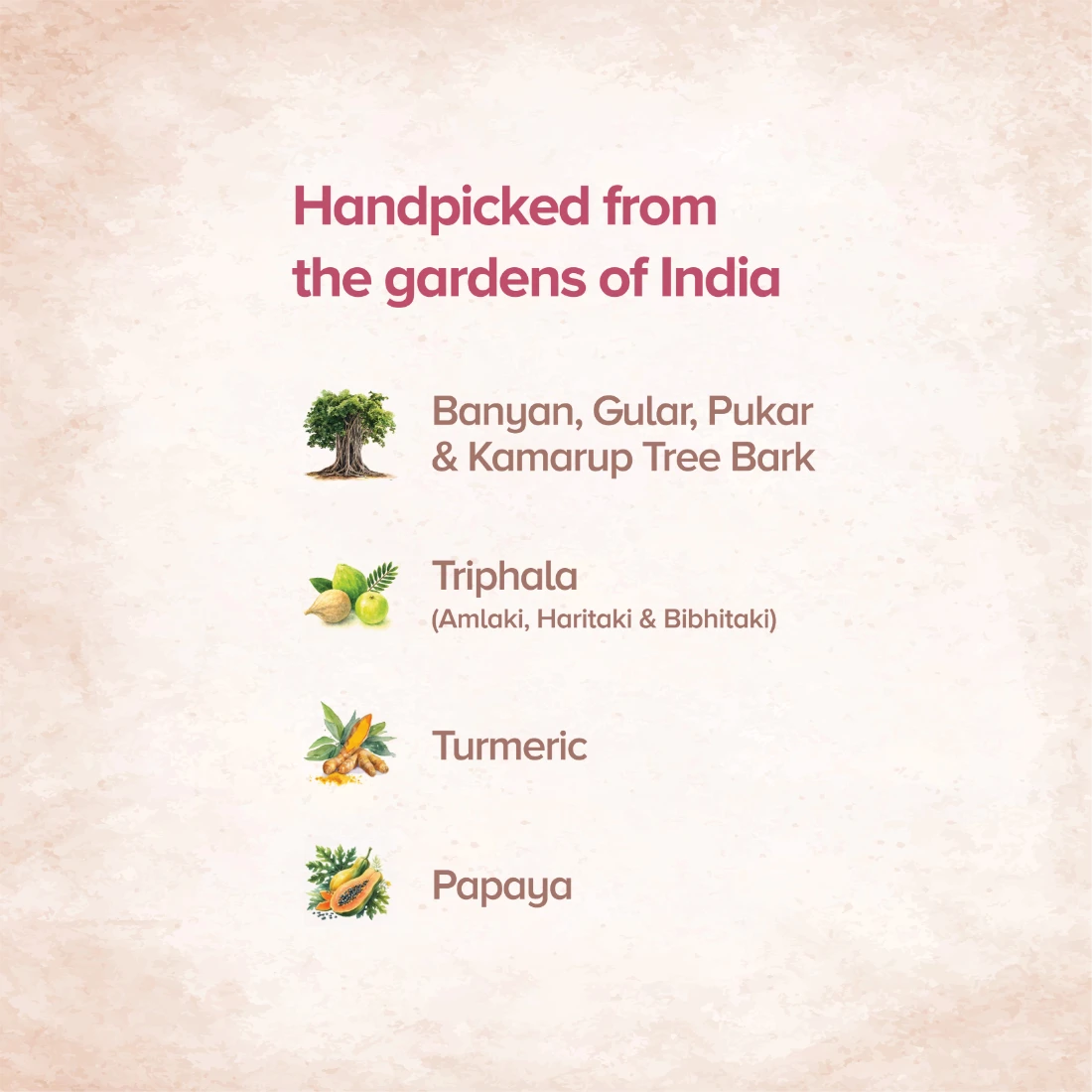 Nalpamaradi Hydrating Cleanser