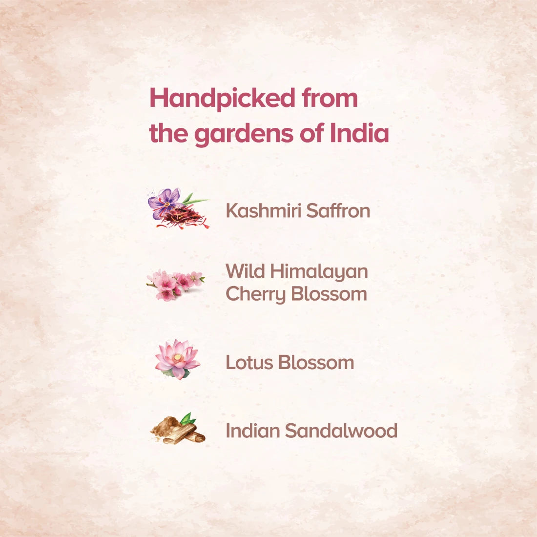 Kumkumadi Fortified Beauty Oil